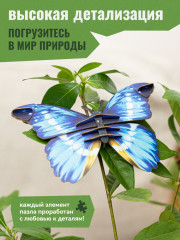 3D пазл «Бабочка Нимфа» - Фото 4