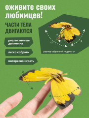 3D пазл «Бабочка Белянка» - Фото 3