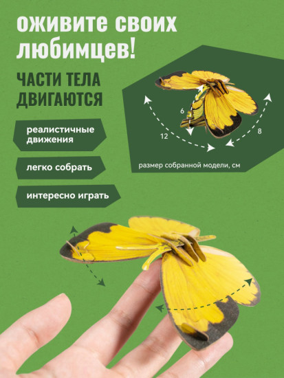 3D пазл «Бабочка Белянка»