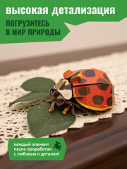 3D пазл «Божья коровка-арлекин» - Фото 4