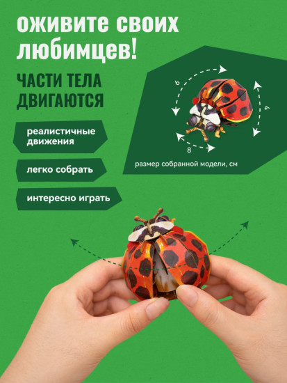 3D пазл «Божья коровка-арлекин»