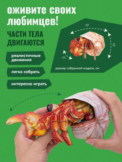 3D пазл «Рак-отшельник»