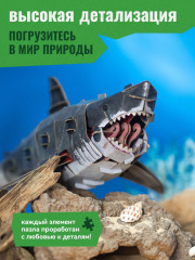 3D пазл «Белая акула» - Фото 4