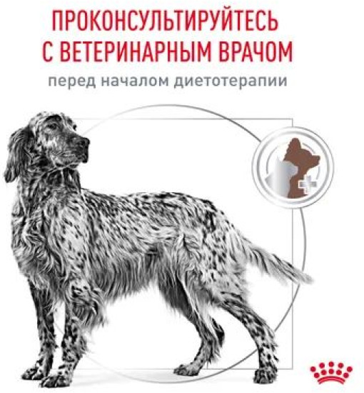 Сухой корм для взрослых собак при расстройствах пищеварения «Gastrointestinal»
