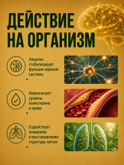 Лецитин соевый капсулы для памяти, мозга - Фото 1