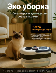 Пароочиститель для дома. - Фото 4
