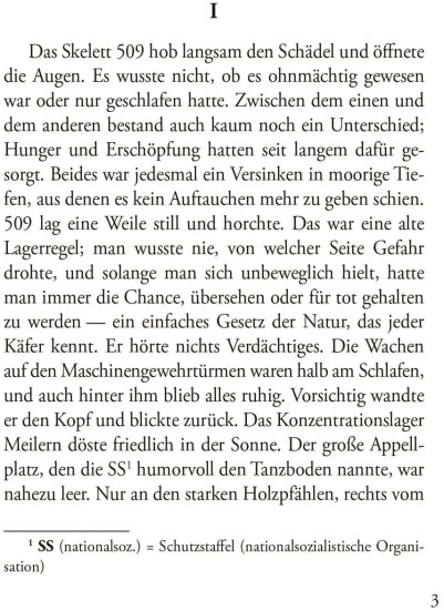 Der funke liben. Искра жизни: книга для чтения на немецком языке