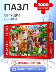 Бегущие щенки  - Фото 1