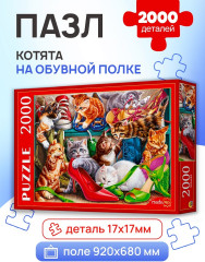 Котята на обувной полке  - Фото 1