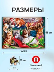 Котята на обувной полке  - Фото 2
