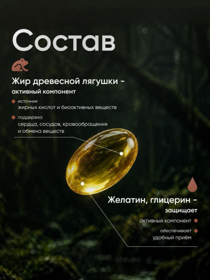 Жир древесной лягушки в капсулах от холестерина и для сосудов