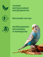 Корм для волнистых попугаев полнорационный сбалансированный - Фото 1
