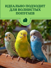 Корм для волнистых попугаев полнорационный сбалансированный - Фото 3