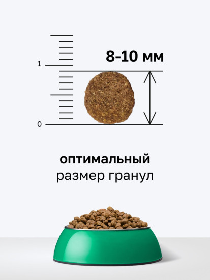 Корм для взрослых собак малых пород сухой с с ягненком, фруктами и овощами «Adult dog small breeds, lamb»