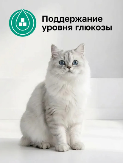 Корм для профилактики сахарного диабета у кошек «Diabetic»