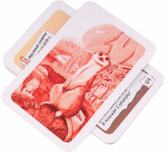 Игра настольная «Элементарно! Тайна пропавшего суриката» - Фото 1