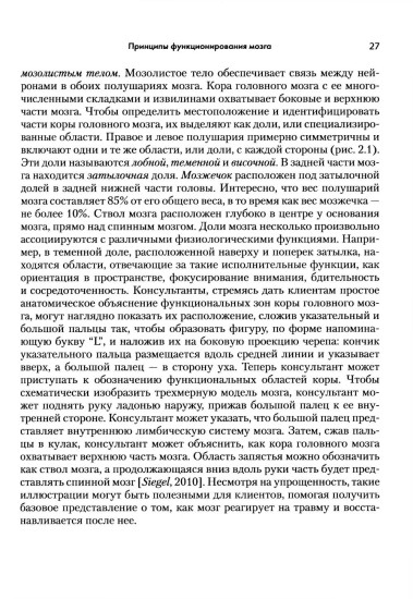 Применение нейронауки в терапии травм. Креативное и сострадательное консультирование