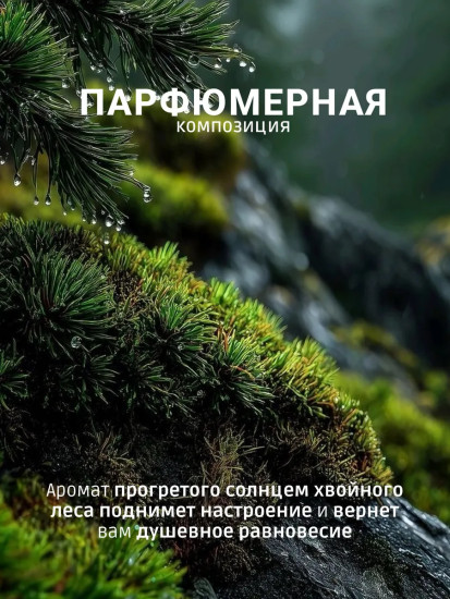 Гель для душа «Дыхание леса» №532