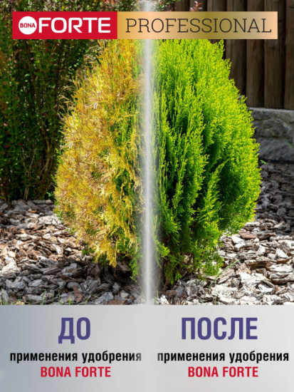 Удобрение «Для хвойных с аминокислотами»