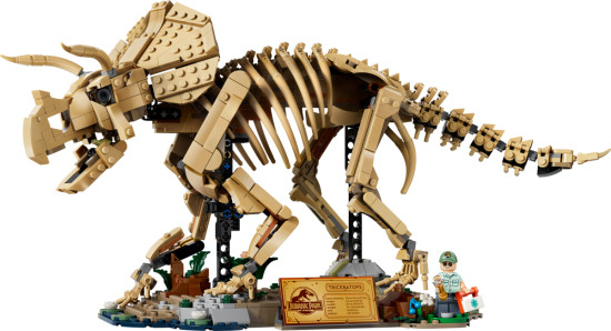 Конструктор LEGO® 77985 Кости динозавра: трицератопс