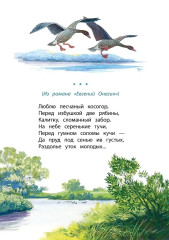 Очей очарованье - Фото 10