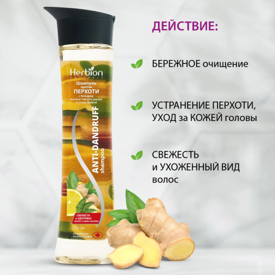Шампунь от перхоти с экстрактом имбиря и чайного дерева, для всех типов волос