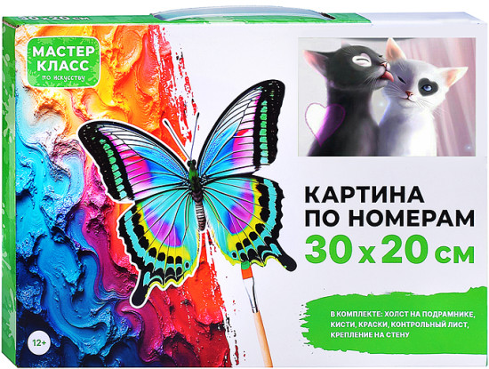Картина по номерам «Инь и Янь»