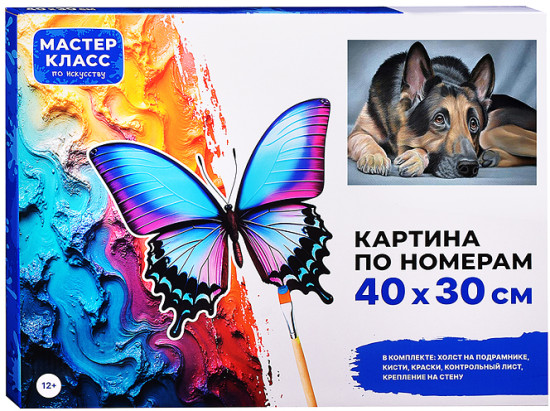 Картина по номерам «Овчарка»