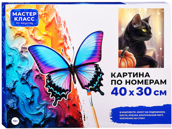 Картина по номерам «Чёрный кот»