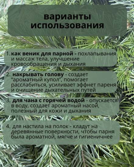 Веник пихты