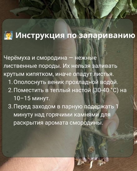 Веник черемуховый