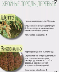 Средство от болезней Avgust Ракурс 4 мл - Фото 1