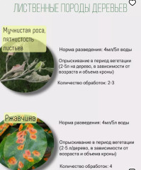 Средство от болезней Avgust Ракурс 4 мл - Фото 2