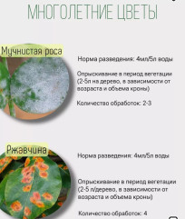 Средство от болезней Avgust Ракурс 4 мл - Фото 3