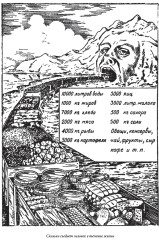 Природа и люди. Свыше 700 иллюстраций и 120 элементов оформления - Фото 2