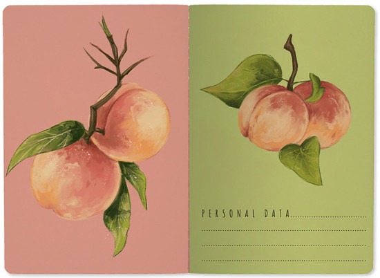 Тетрадь «Flora. Paradise. Персики»