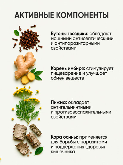 Комплекс антипаразитарный для очищения организма Зеленый Лекарь
