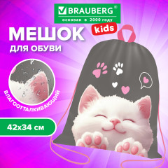 Мешок для обуви KIDS, с петлей, 42×34 см, «Кот-мурлыка», 274640 - Фото 1