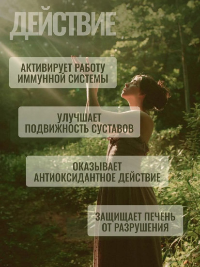 БАД «Сurcumin + piperine»