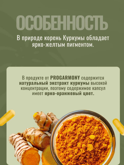 БАД «Сurcumin + piperine»