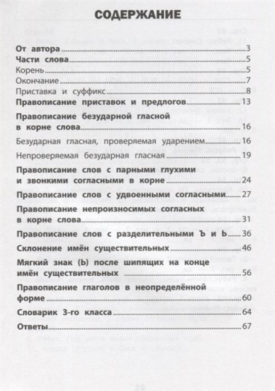 Русский язык. 3 класс. Визуальный тренажер. Учись легко!