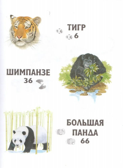 Прогулка по зоопарку