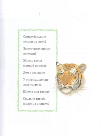 Прогулка по зоопарку