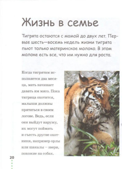 Прогулка по зоопарку
