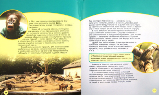 Способности и возможности