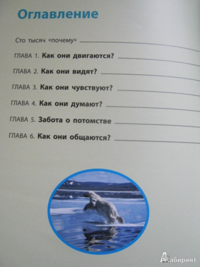 Способности и возможности