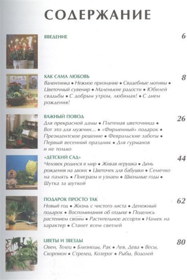 Цветочный дом. Комнатные растения в подарок