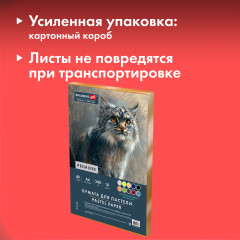 Бумага для пастели Абразивная А4 в коробке, 40 листов, 10 цветов, 240 г/м2, ART, 117767 - Фото 3