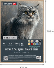 Бумага для пастели Абразивная А4 в коробке, 40 листов, 10 цветов, 240 г/м2, ART, 117767 - Фото 8