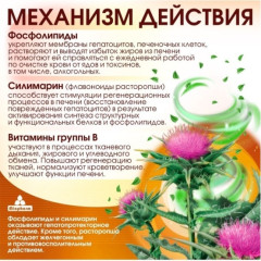 Расторопша + Лецитин + Силимарин Milk Thistle + Lecithin + Silymarin Эссфоль Форте 90 капсул Миофарм, детокс, БАД гепатопротектор для печени с витаминами группы B, эссенциальные фосфолипиды - Фото 1
